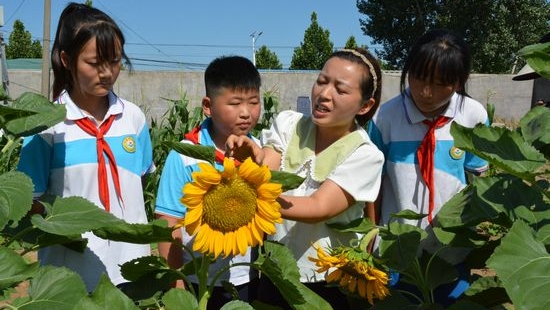 鄉村小學有了“開心農場”